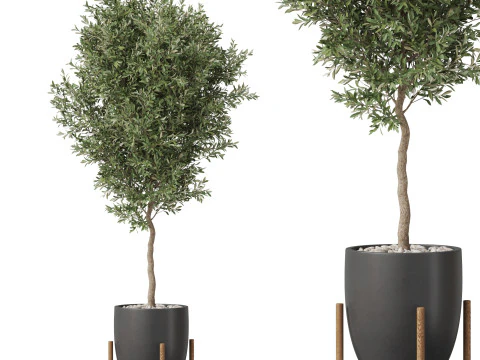 पौधों का संग्रह 822 3D मॉडल