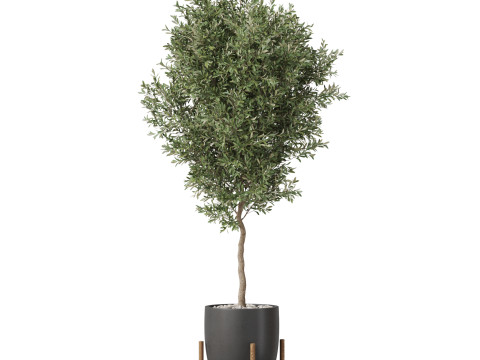 Plants collection 822 3D Model