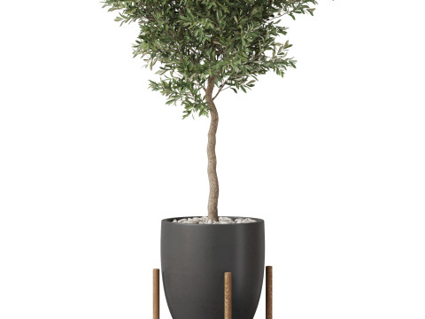 Plants collection 822 3D Model