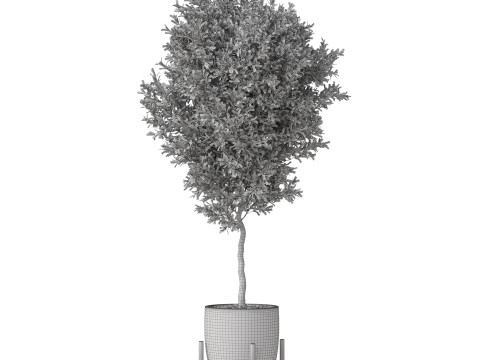 Plants collection 822 3D Model