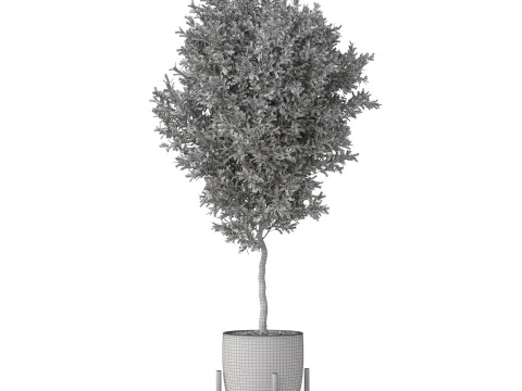 Plants collection 822 3D Model