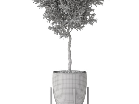 Plants collection 822 3D Model