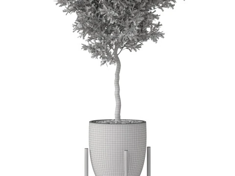 Plants collection 822 3D Model
