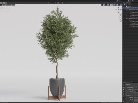 Plants collection 822 3D Model