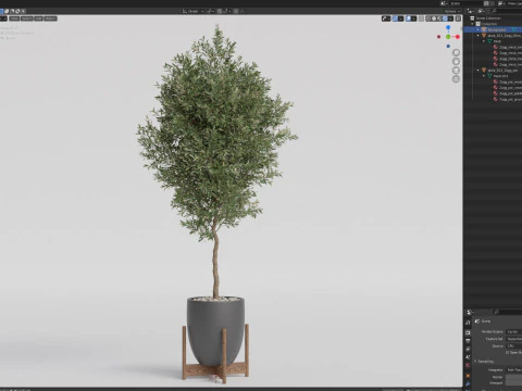 Plants collection 822 3D Model