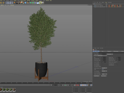 Plants collection 822 3D Model