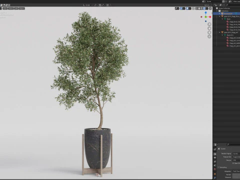 Plants collection 823 3D Model