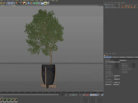 Plants collection 823 3D Model