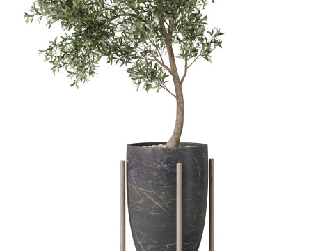 Plants collection 823 3D Model