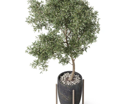 Plants collection 823 3D Model