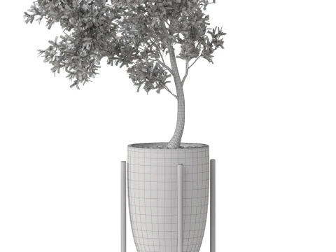 Plants collection 823 3D Model