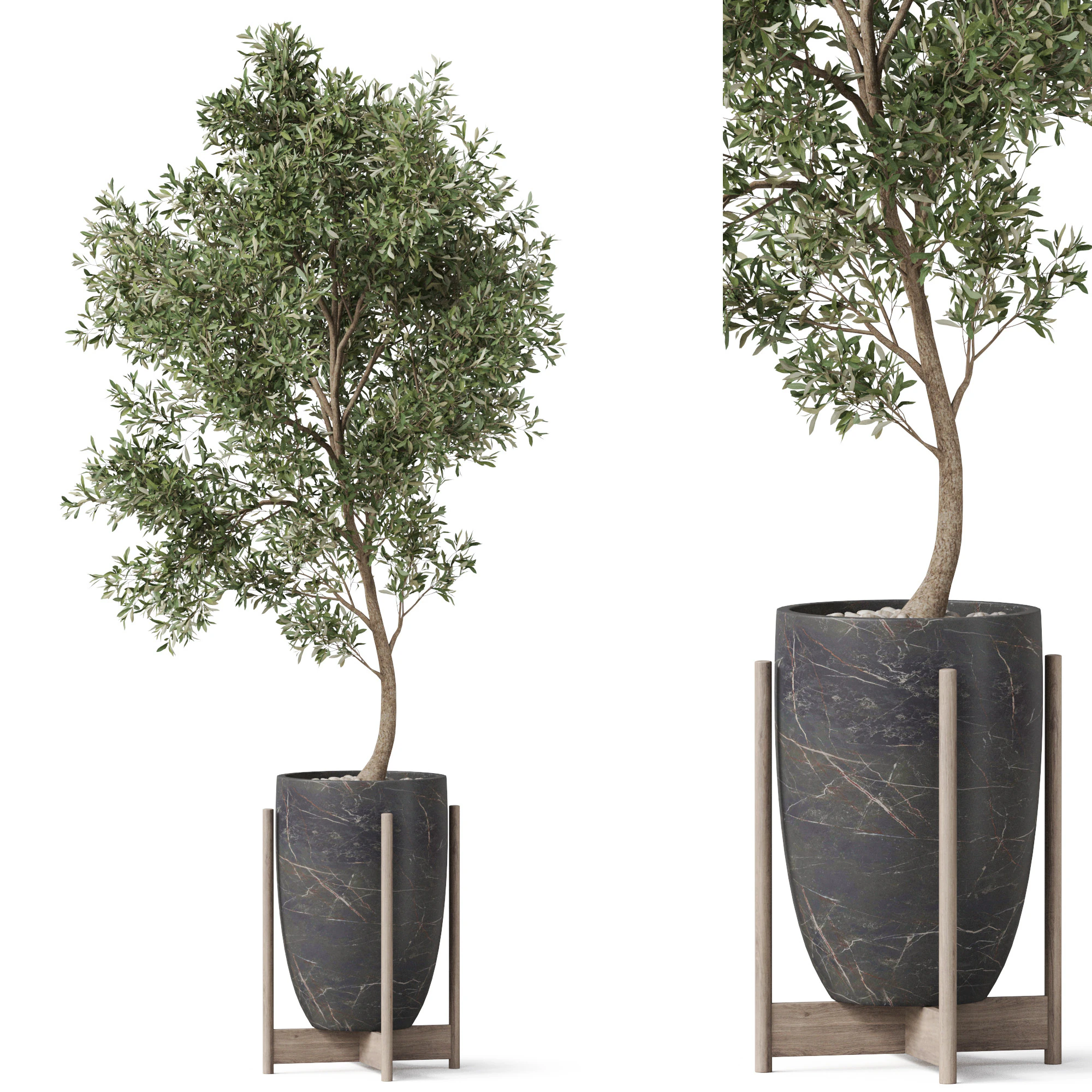 Plants collection 823 3D Model .c4d .max .obj .3ds .fbx .stl .blend 