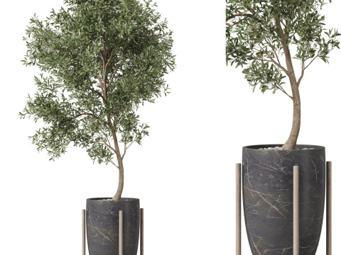 Plants collection 823 3Dモデル