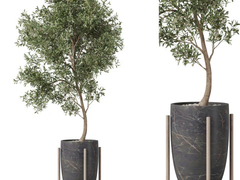 पौधों का संग्रह 823 3D मॉडल