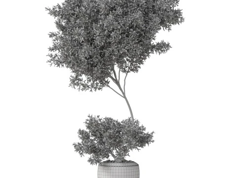 Plants collection 824 3D Model