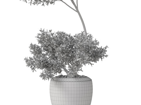 Plants collection 824 Modello 3D