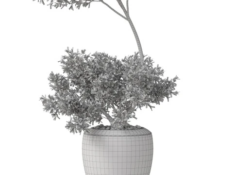 Plants collection 824 3D Model