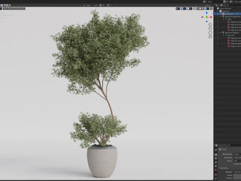 Plants collection 824 3D Model