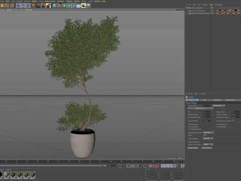 Plants collection 824 3D Model