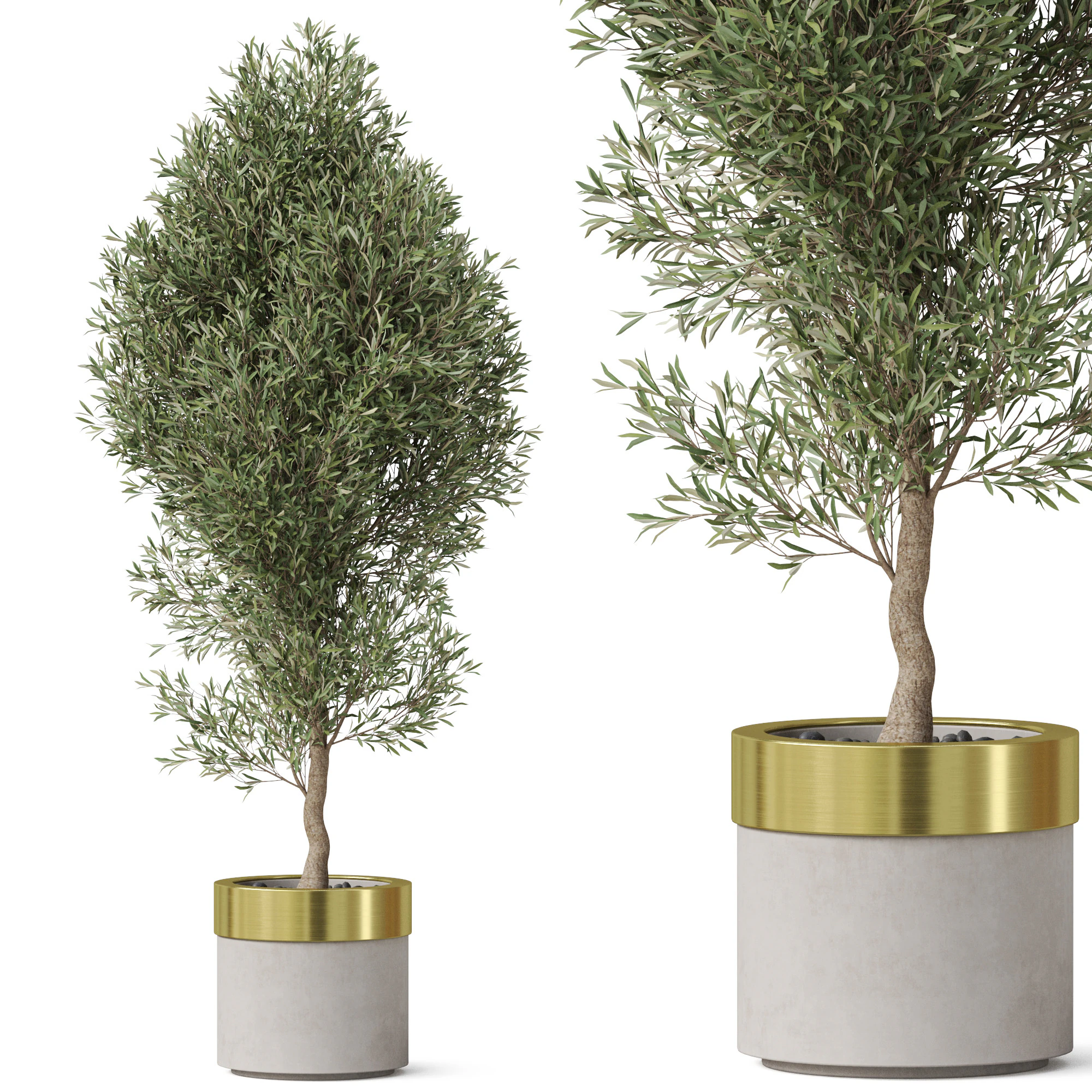 Plants collection 825 3D Model .c4d .max .obj .3ds .fbx .stl .blend 