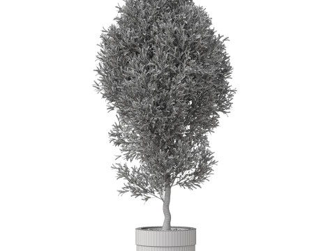 Plants collection 825 3D Model