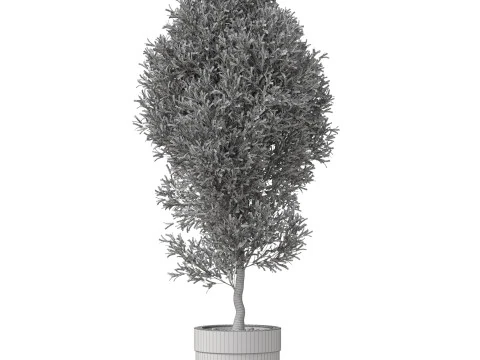 Plants collection 825 3D Model