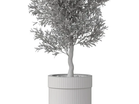 Plants collection 825 3D Model