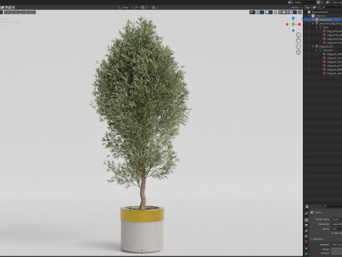 Plants collection 825 3D Model