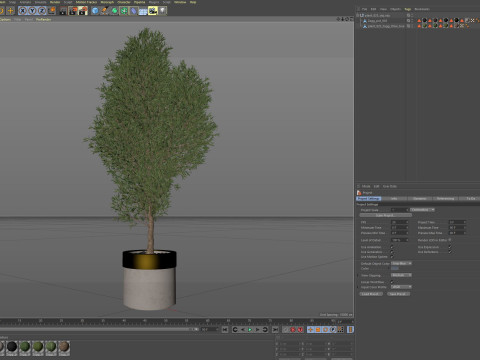 Plants collection 825 3D Model