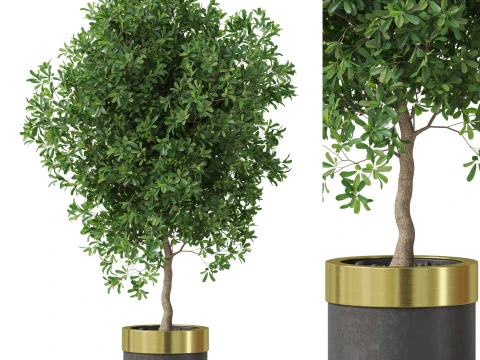 पौधों का संग्रह 826 3D मॉडल