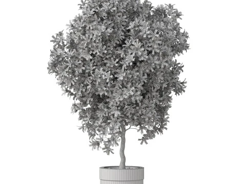 Plants collection 826 3D Model