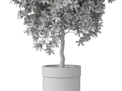 Plants collection 826 3D Модель