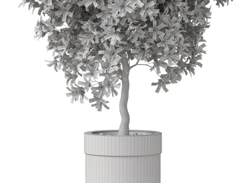Plants collection 826 3D Model