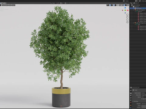 Plants collection 826 3D Model