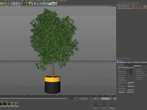 Plants collection 826 3D Model
