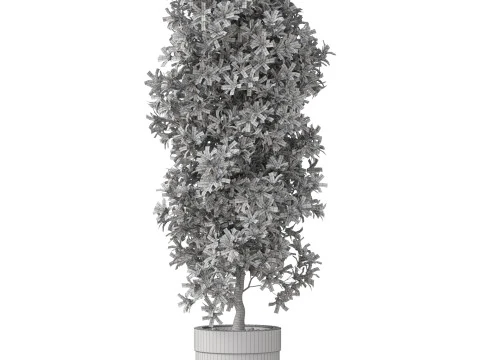 Plants collection 828 3D Model