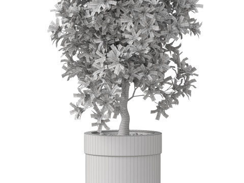 Plants collection 828 3D Модель