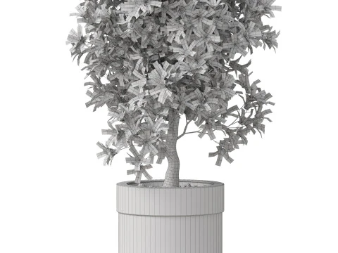 Plants collection 828 3D Model