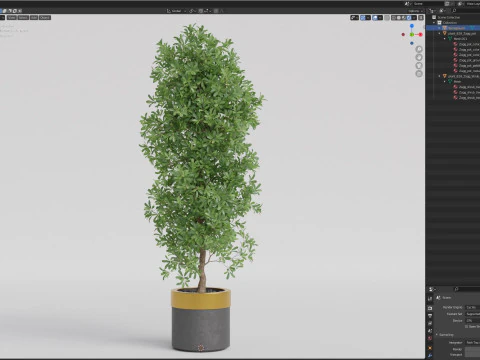 Plants collection 828 3D Model