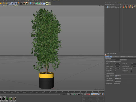 Plants collection 828 3D Model
