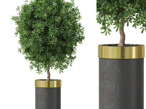 पौधों का संग्रह 827 3D मॉडल