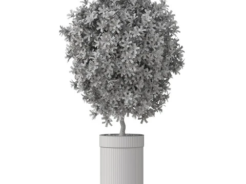 Plants collection 827 3D Model