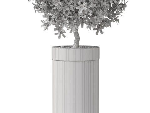 Plants collection 827 3D Model