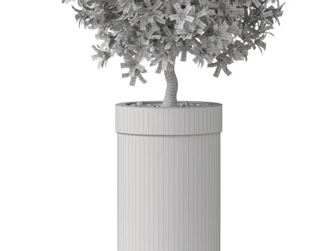 Plants collection 827 3D Model
