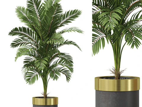 पौधों का संग्रह 829 3D मॉडल