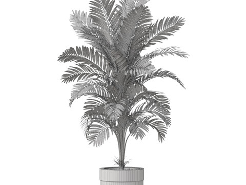 Plants collection 829 3D Модель