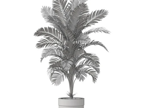 Plants collection 829 3D Model