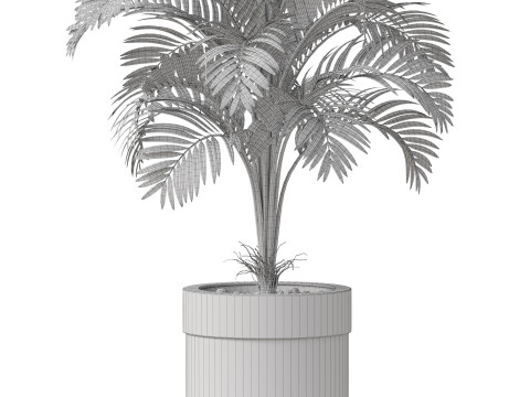 Plants collection 829 3D Модель