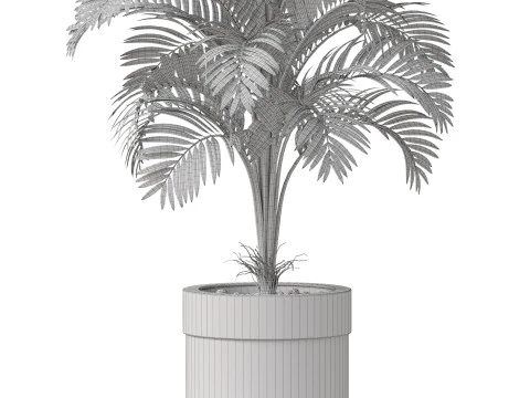 Plants collection 829 3D Model