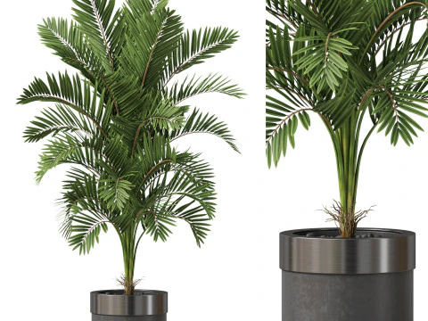 पौधों का संग्रह 830 3D मॉडल